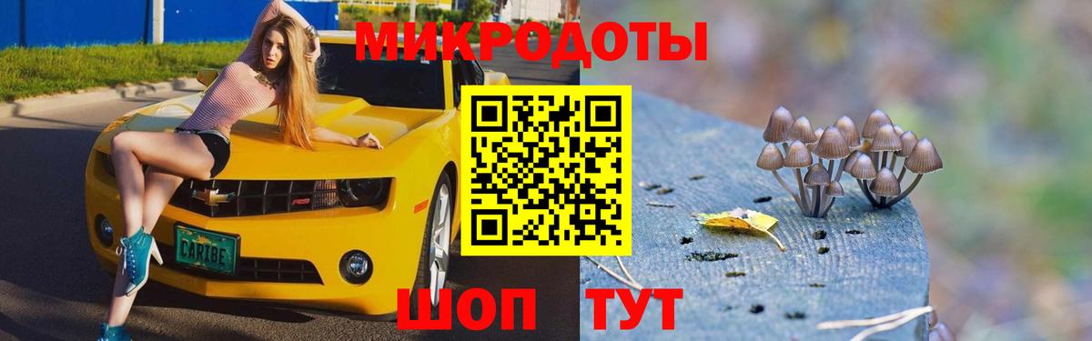 Мурманск  Галлюциногенные грибы Psilocybine cubensis  цена наркотик  Вход с VPN  Галлюциногенные грибы прущие грибы 